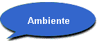 Ambiente